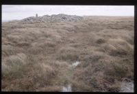 WesternWhite Barrow 