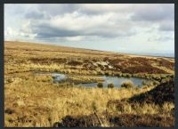 6/9 Mica Pit source of Bala Brook 28/2/1991