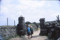 Corringdon ball gate