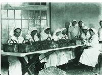 1WW WOMEN AT THE IMPERIAL HOTEL, PRINCETOWN, SORTING SPHAGNUM MOSS