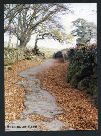 An image from the Dartmoor Trust Archive