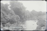 River Dart from Austin's Bridge, Buckfastleigh