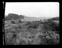 Fernworthy Reservoir