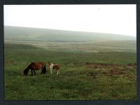 27/41 Little Aune to slopes of Ryder's Hill 26/7/1991