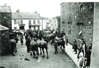 1WW IMPRESSMENT OF HORSES IN HATHERLEIGH