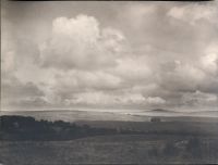 Dartmoor landscape