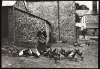 Bessie Darch Feeding poultry at Lovaton