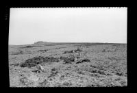 Hart Tor Stone Row