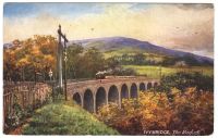 The Viaduct,Ivybridge