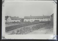 Council houses, Copplestone