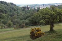 View of Okehampton Castle 