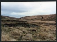 15/21 Tinners Burrows below Wellabrook foot 25/4/1991