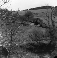 An image from the Dartmoor Trust Archive