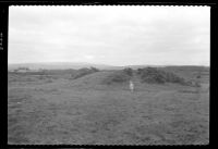 Crapstone Down Barrow, with Shirley Taylor