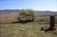 Boundary stone near Cullever Steps