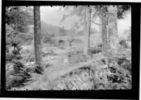 Hill bridge over the River Tavy