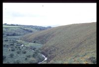 The River Lyd by Brat Tor