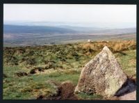 35/31 Near Whealam Bottom Small Cross 1/6/1991