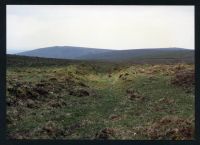 16/29 Track to Bala Brook near East Glaze Head 29/5/1991