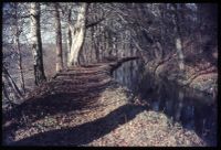 Tavistock Canal