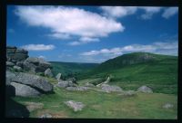 An image from the Dartmoor Trust Archive