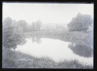 Whitford: general view, Shute