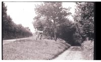 Road fork on South Brent to Buckfast road