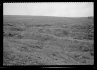 Remains of a Plymouth and Dartmoor Railway Embankment West of King Tor Halt