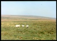 4/52 Snowdon N towards Ryders Hill 4/9/1991