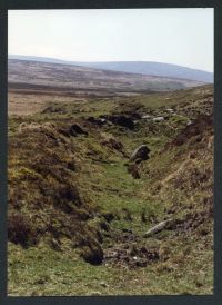 An image from the Dartmoor Trust Archive