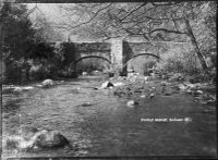 Fingle Bridge