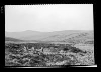 Black Tor Tumulus