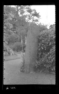 Ogham stone at Tavistock