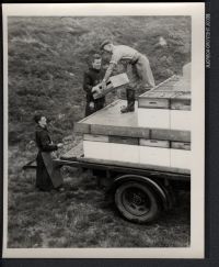 Transferring bee hives from lorry to moor