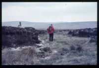 Whitehorse Peat Pass