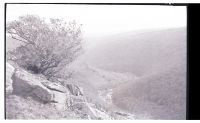 The River Dart below Bench Tor