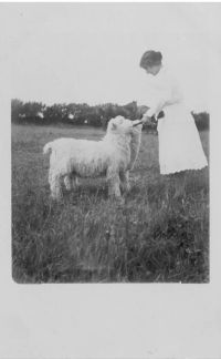 An image from the Dartmoor Trust Archive