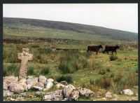 34/36 Huntingdon cross to Billers Pound 4/7/1991