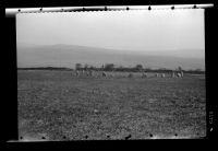 Brisworthy Stone Circle