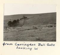 Corringdon Ball gate