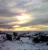 Dartmoor Snowdrifts