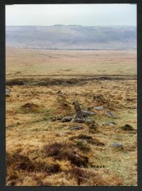 An image from the Dartmoor Trust Archive