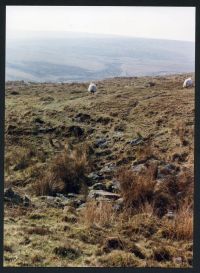 An image from the Dartmoor Trust Archive