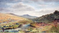 26.  Moorland stream.tif