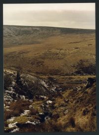 An image from the Dartmoor Trust Archive