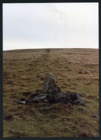 An image from the Dartmoor Trust Archive