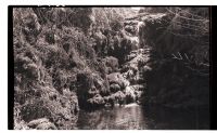 Waterfall on Shavercombe Brook