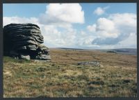 An image from the Dartmoor Trust Archive