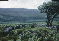 An image from the Dartmoor Trust Archive