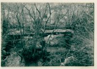 Stone clapper bridge over River Bovey